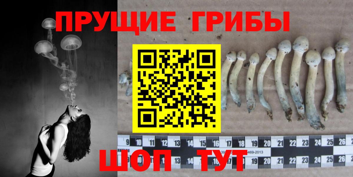Псилоцибиновые грибы ЛСД Санкт-Петербург